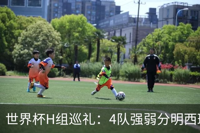 世界杯H组巡礼：4队强弱分明西班牙冲冠 佛得角首次亮相