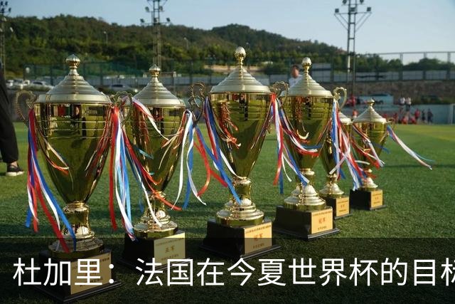 杜加里：法国在今夏世界杯的目标就是夺冠，如果没赢就是失败