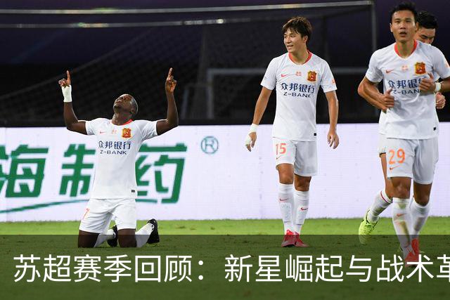 苏超赛季回顾：新星崛起与战术革新，谁将问鼎联赛？