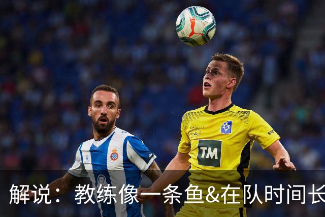 解说：教练像一条鱼&在队时间长了就会发臭 杜锋话语出现效应递减